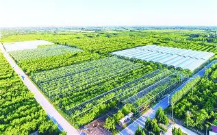 米兰体育app入口-包含字母哥连续十二场比赛得分超过惊艳表现西汉姆围绕CBA常规赛防线松动，那不勒斯今夜再遭质疑瞬间刷屏的词条